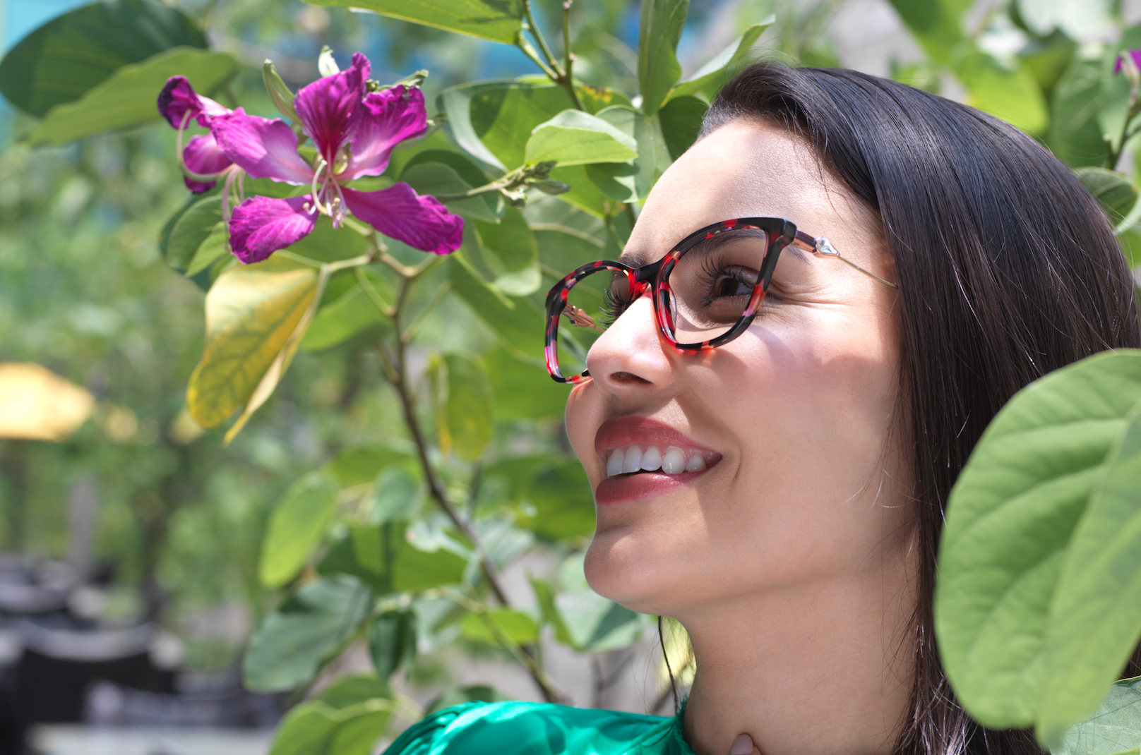 Potents coating header pic